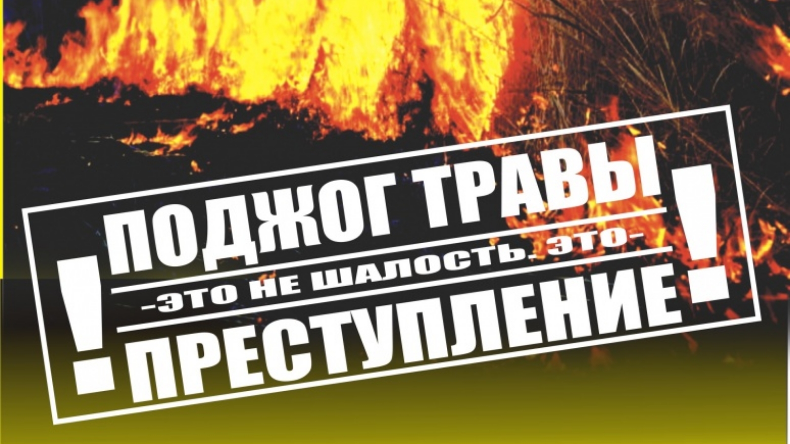 Поджог сухой травы. Весенний пал травы. Пал сухой травы мчс. Ответственность за нарушение требований пожарной безопасности. Пал травы памятка.