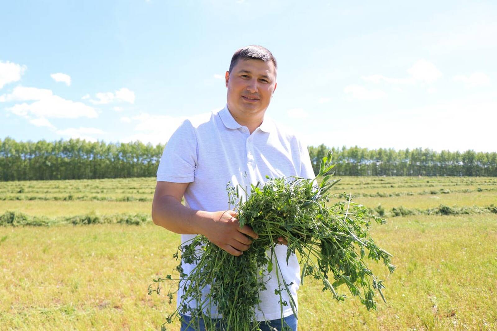 Сельского хозяйства и продовольствия республики